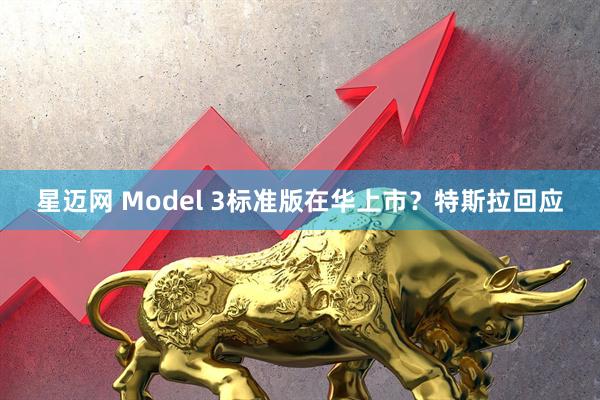 星迈网 Model 3标准版在华上市？特斯拉回应
